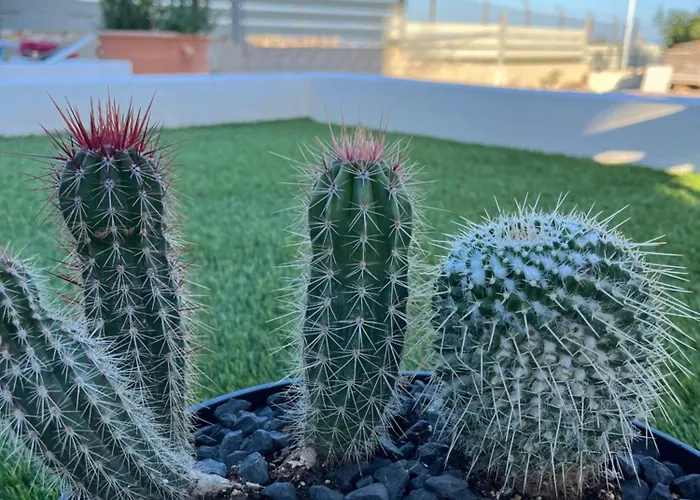 Octavia Apart-hotel 4*