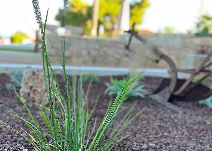 Octavia Apart-hotel 4*